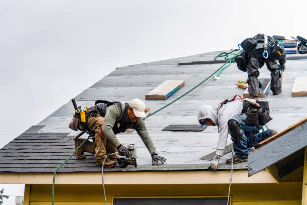 Professional Gutter Installation technician working in La Follette, TN