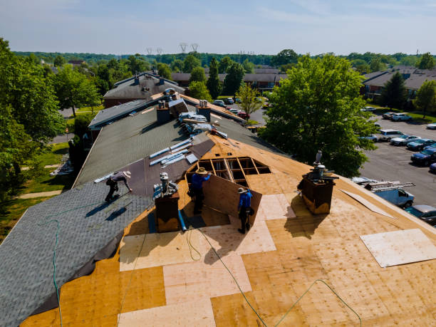 Trusted Roof Replacement service in La Follette, TN - Brentwood Metal Roofing